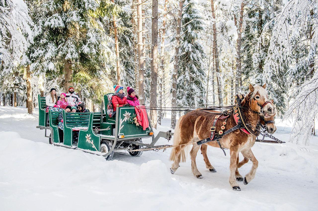 Andalo Life - Vacanze in Trentino in famiglia 